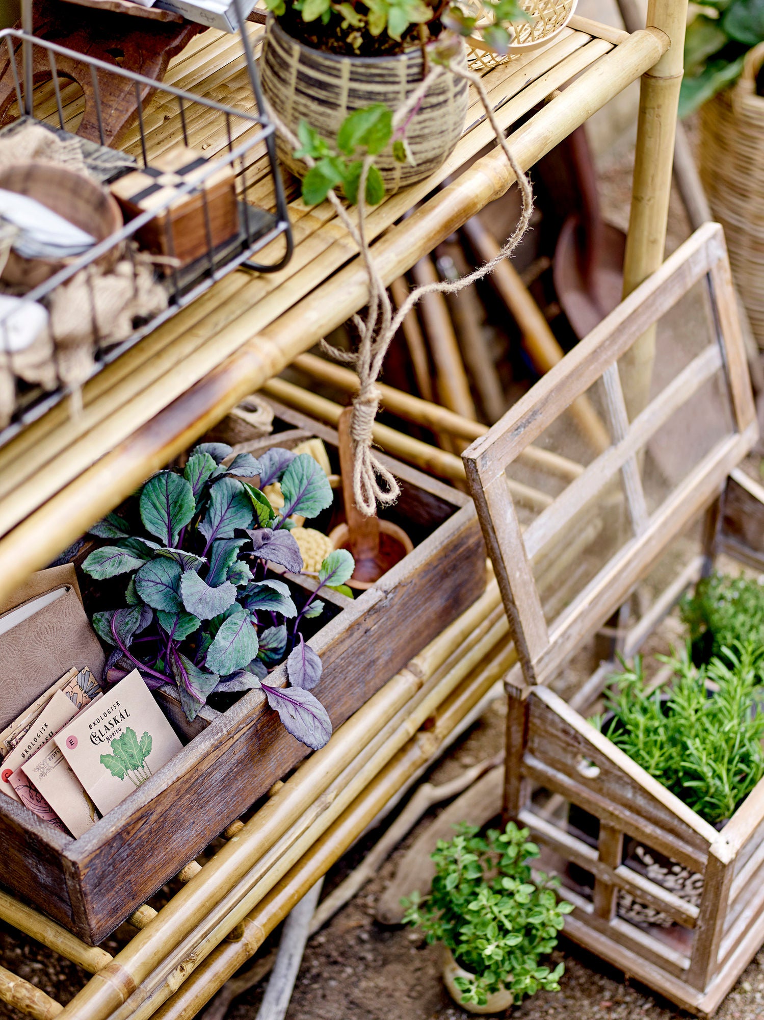 Marti Display-Kasten Elegante Glasvitrine Aus Tannenholz für Dekoration