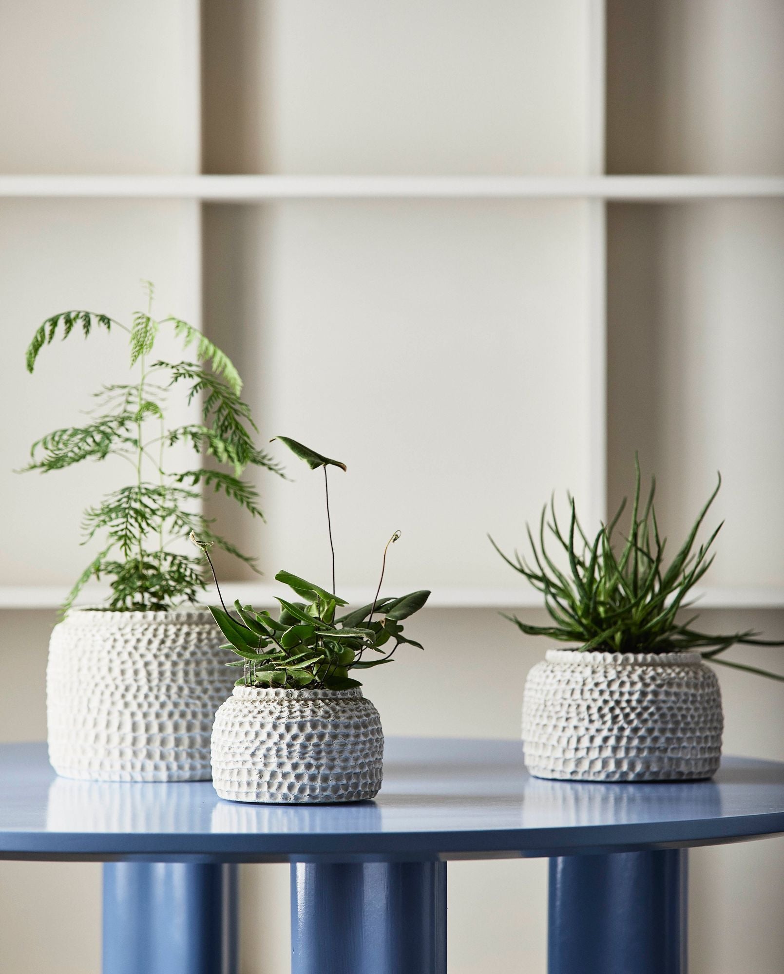 AOBA Zementtopf Skulpturale Oberfläche Warmes Raumgefühl und Stil