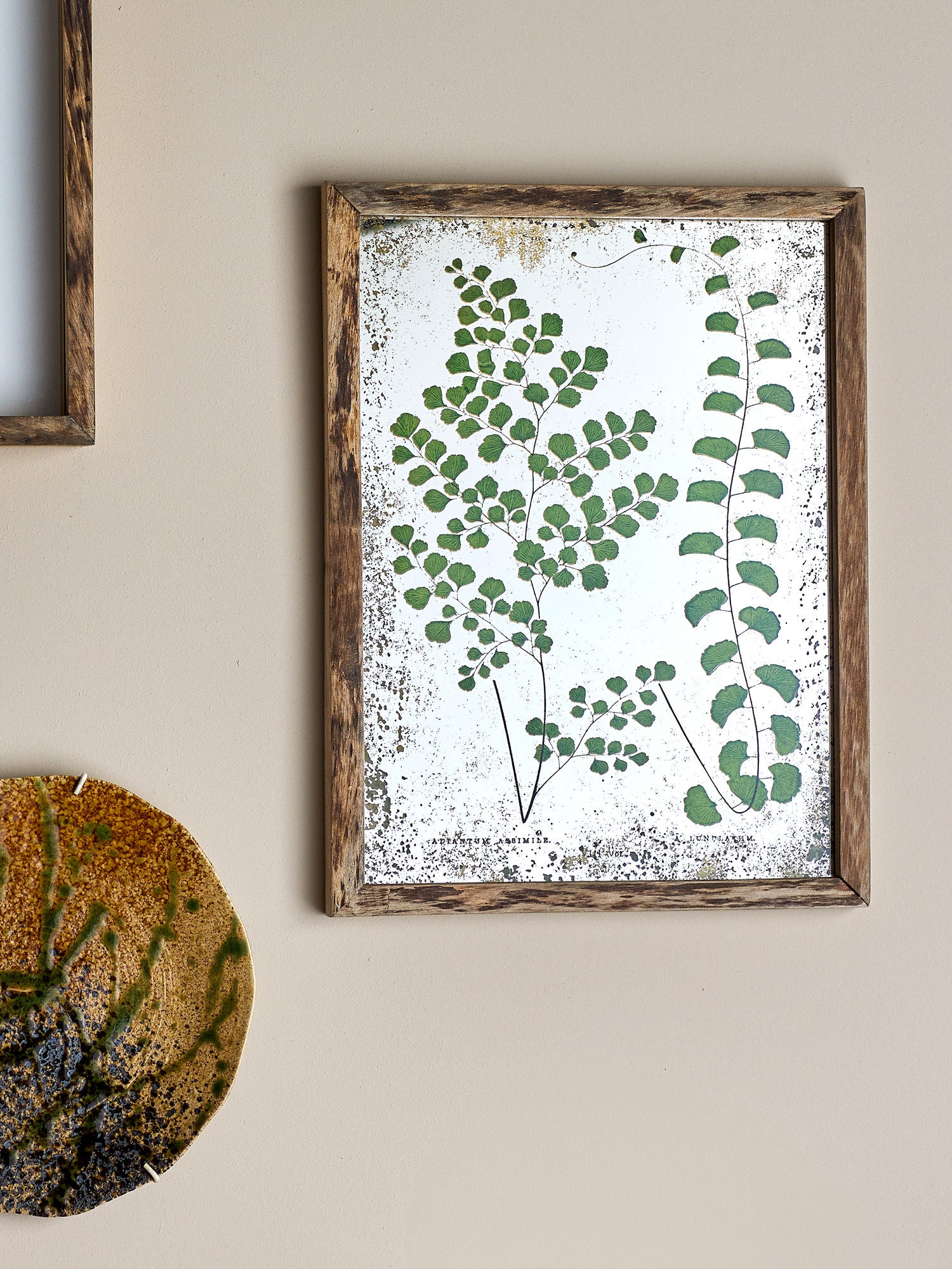 Tipper Illustration mit Rahmen, Natur, Tannenholz