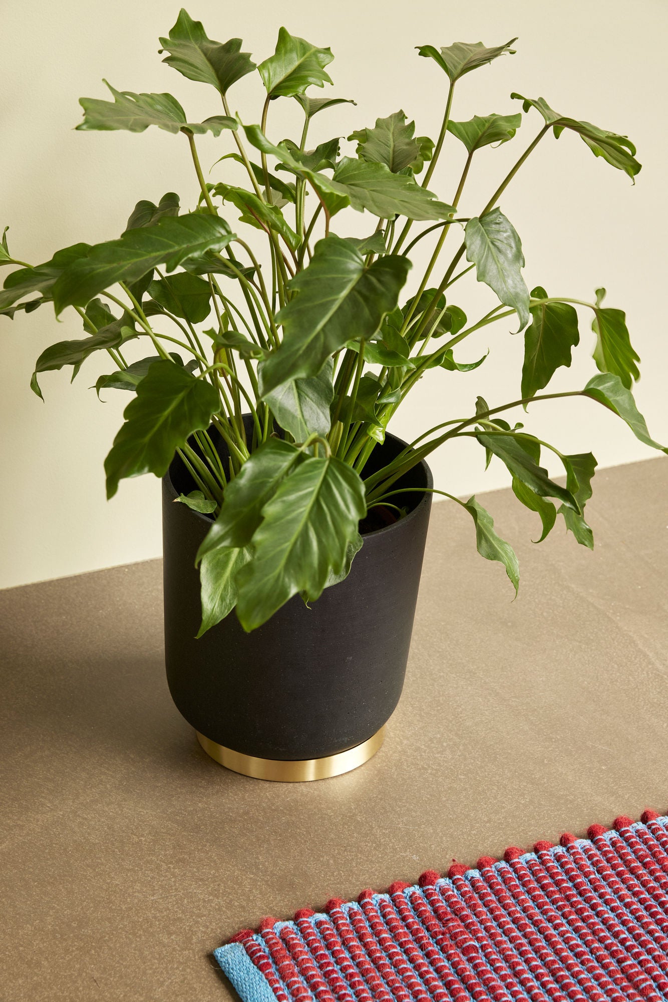 Tablett-Set aus Metall – Messingfarbene Eleganz im 3er-Set