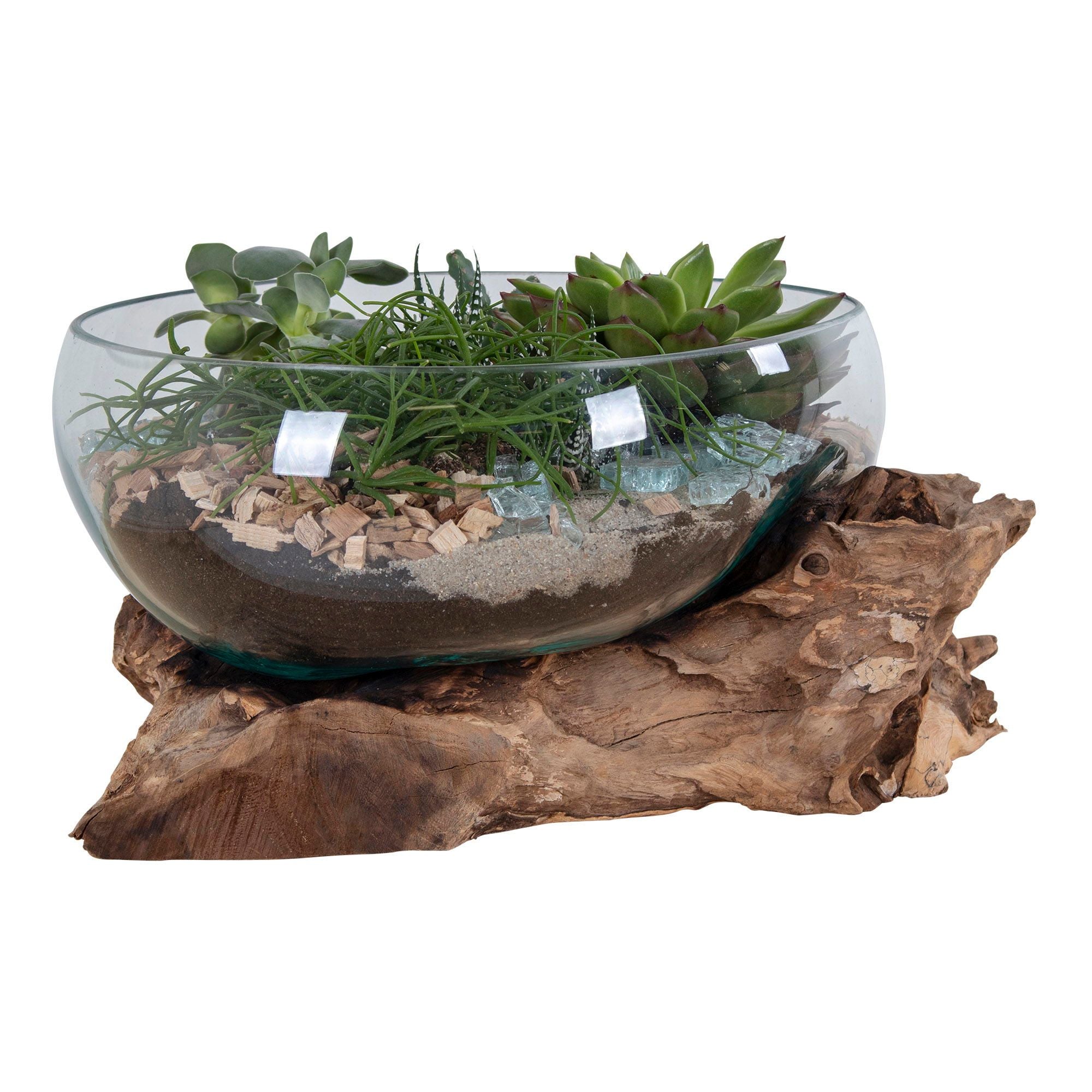 San Marino Waterdrop