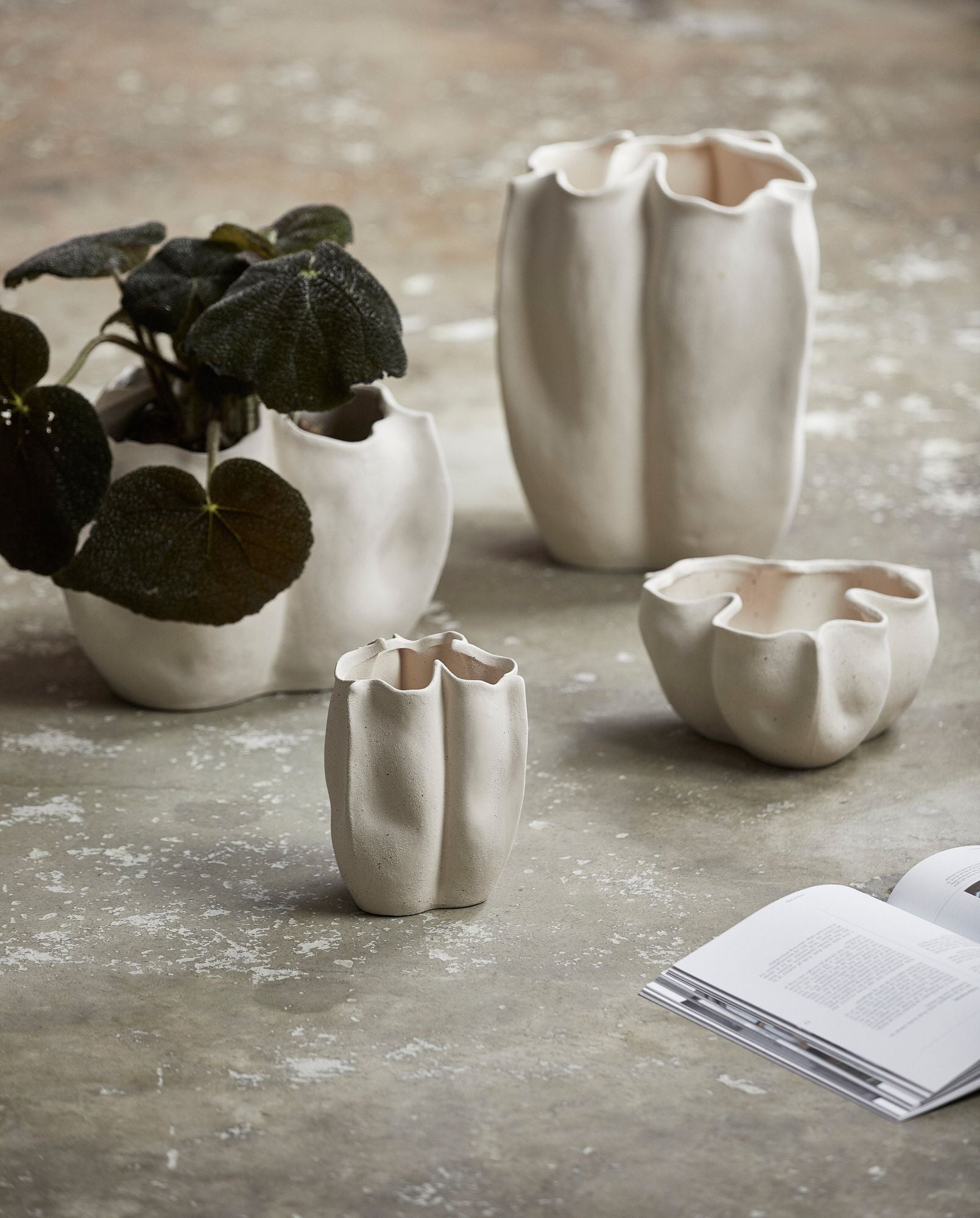 ISABELA Schale L Organisch Geformt für Dekoration und Zimmerpflanzen