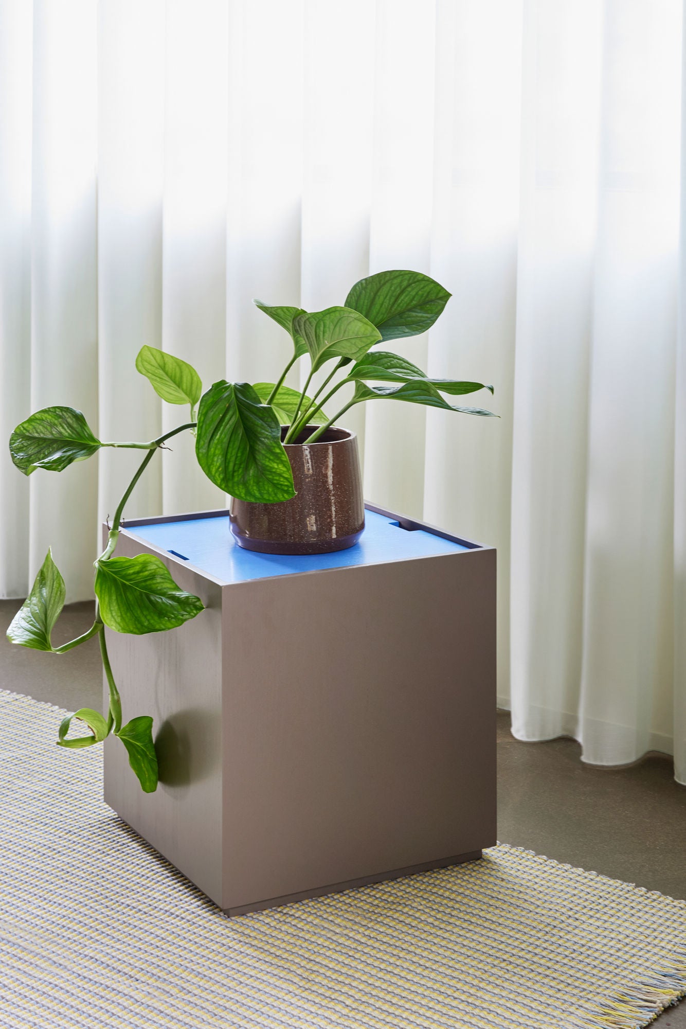 Vault Beistelltisch/Aufbewahrungsbox Braun/Blau