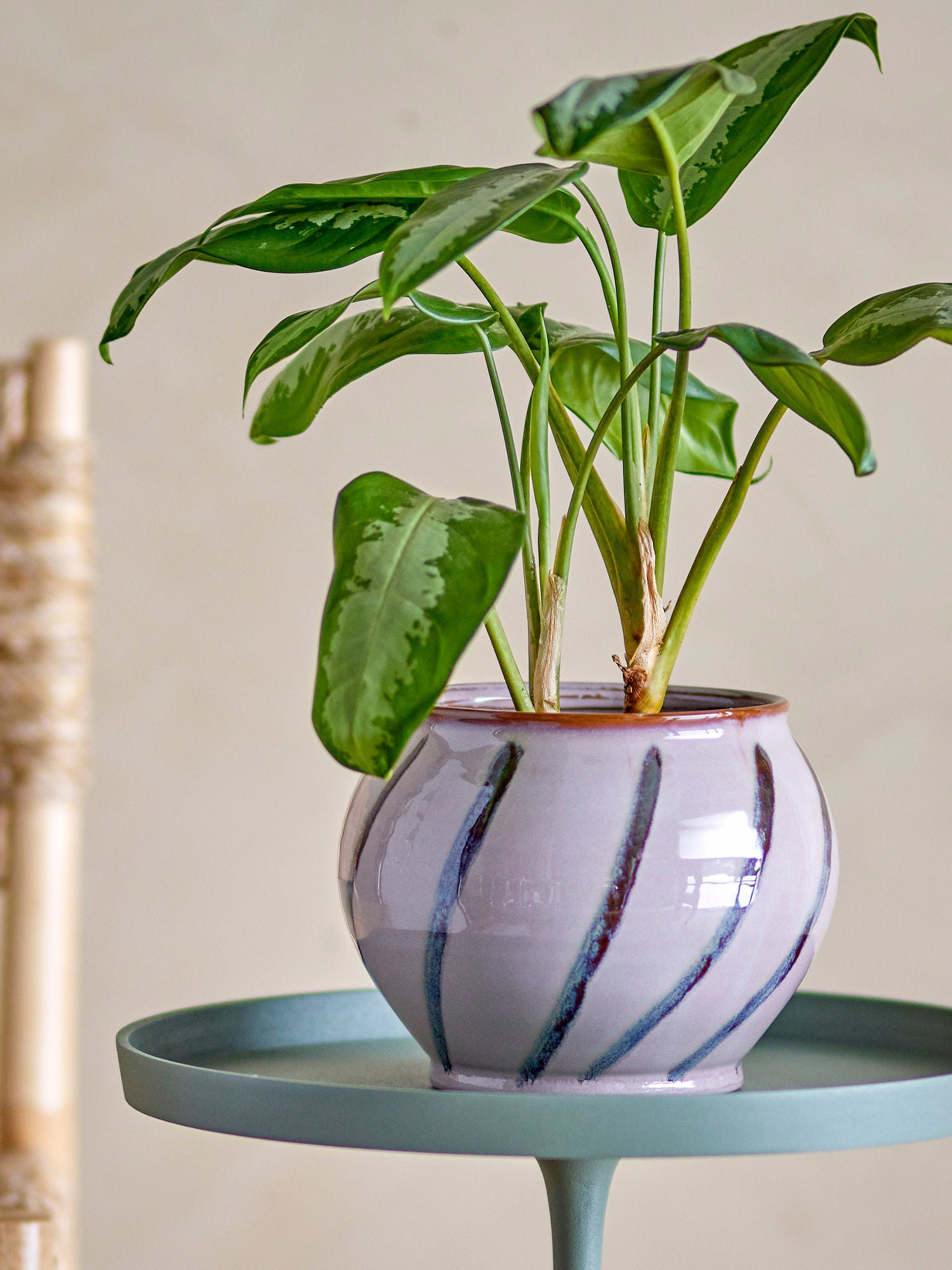 Iman Blumentopf, Rose, Steingut