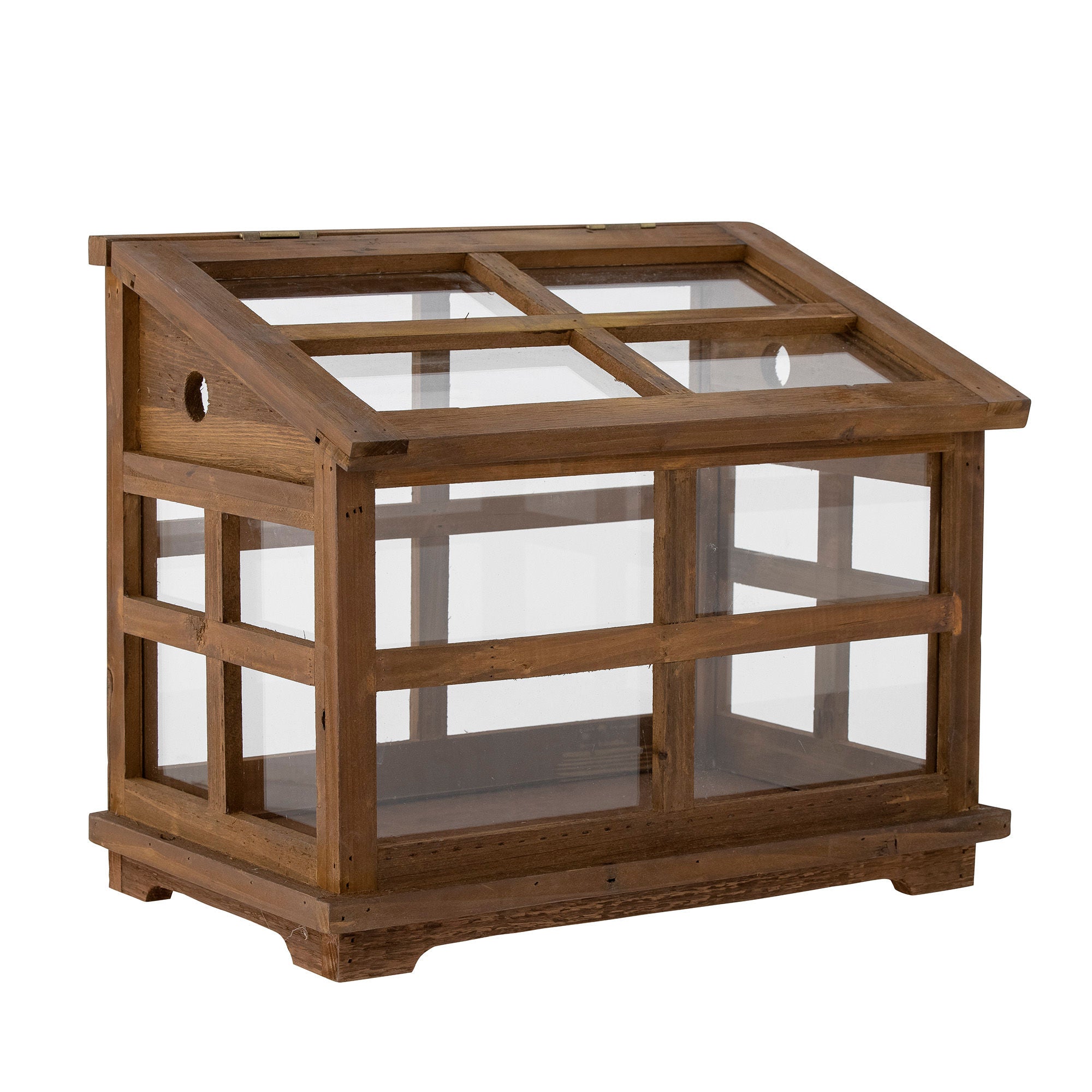 Marti Display-Kasten Elegante Glasvitrine Aus Tannenholz für Dekoration