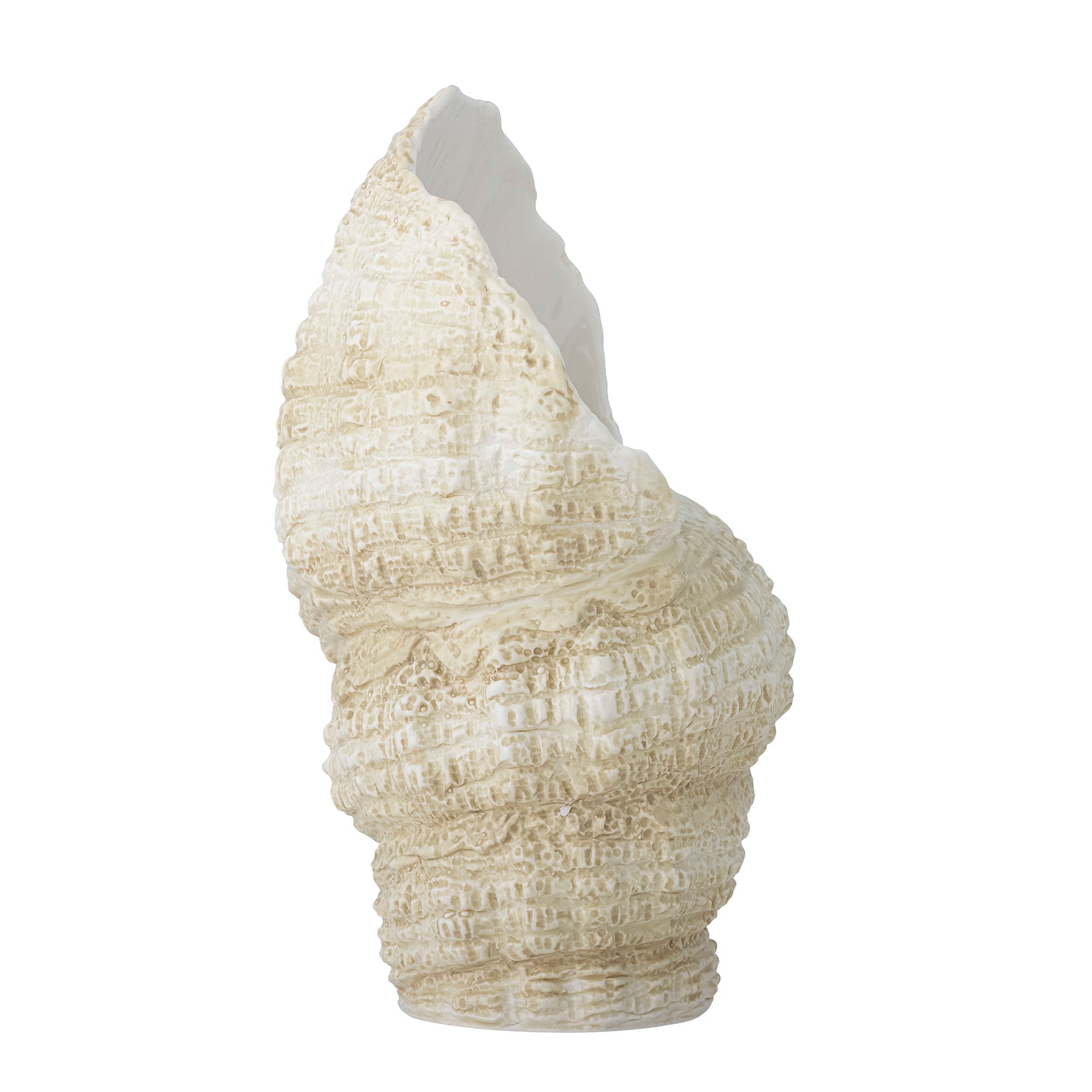 Nano Muschel Deko Natur Polyresin, Elegante Wohn Dekoration Ideales Dekoobjekt