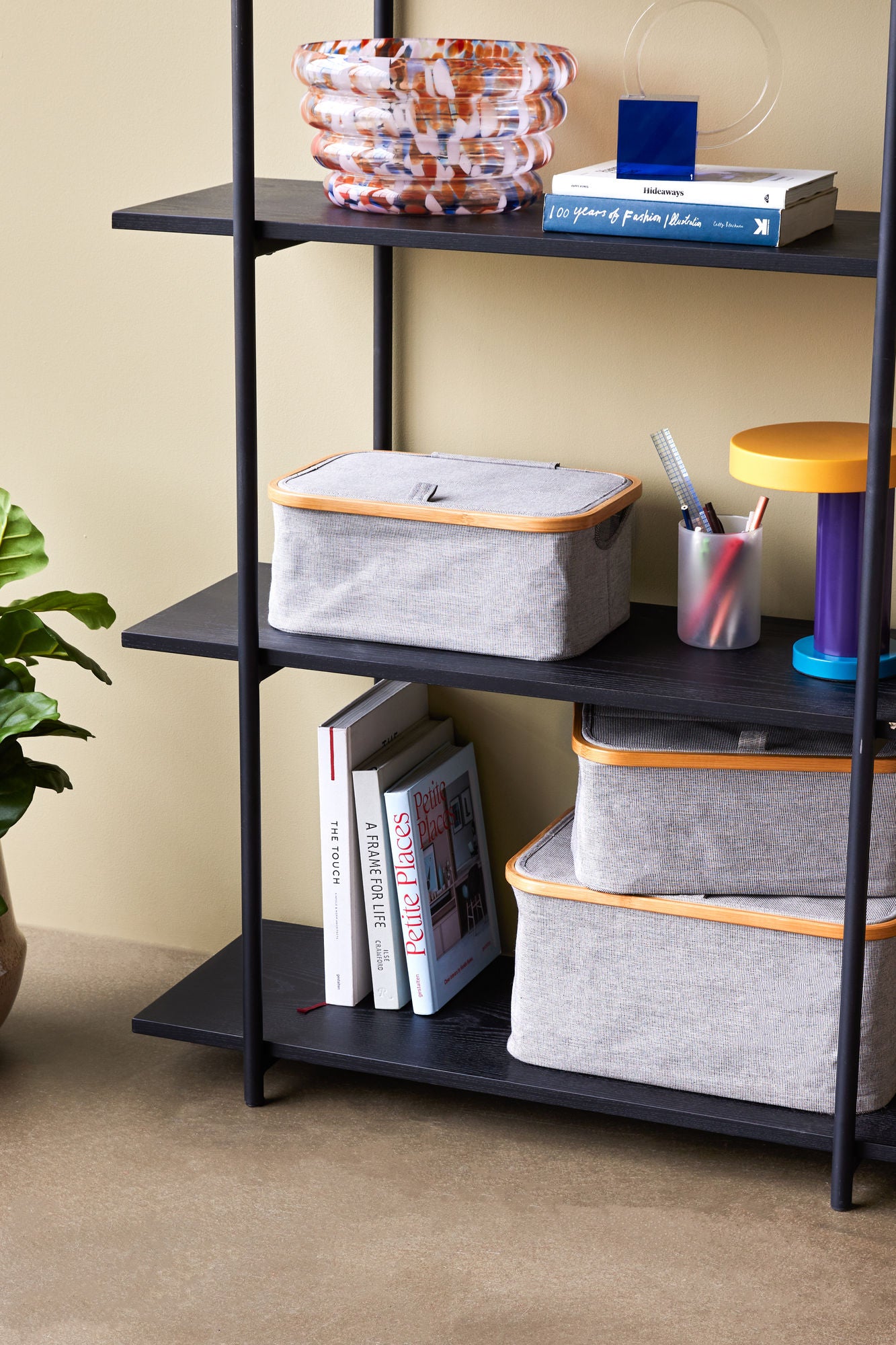 Norm Regal  Single Large Schwarz